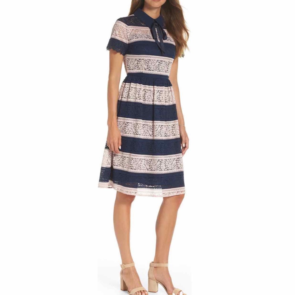 1901 Stripe Lace Fit & Flare Dress